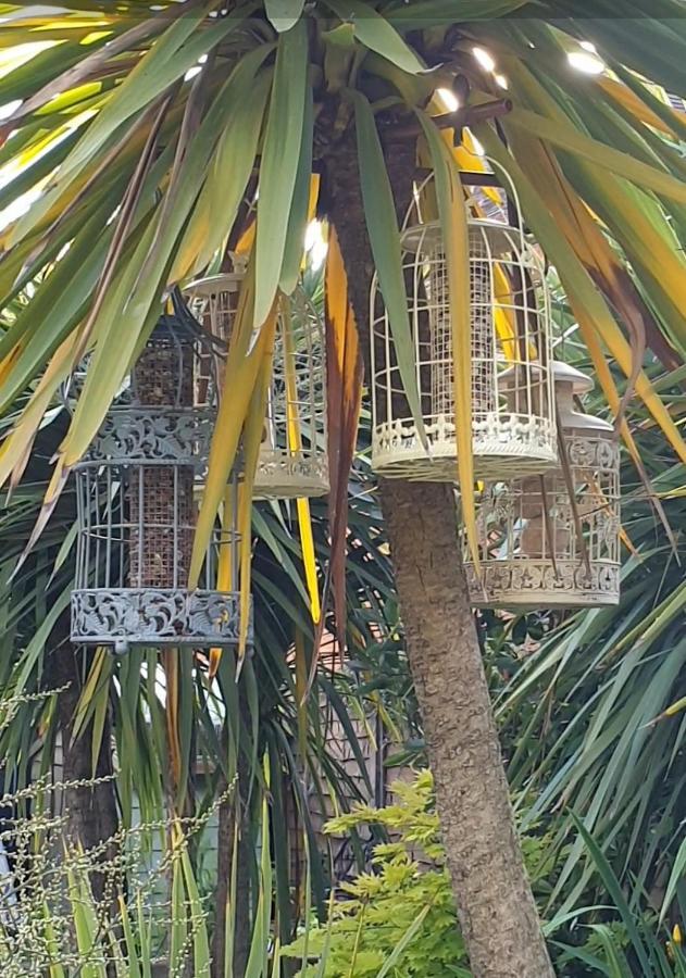 Tropical Garden Oasis Rooms Birmingam Exterior foto