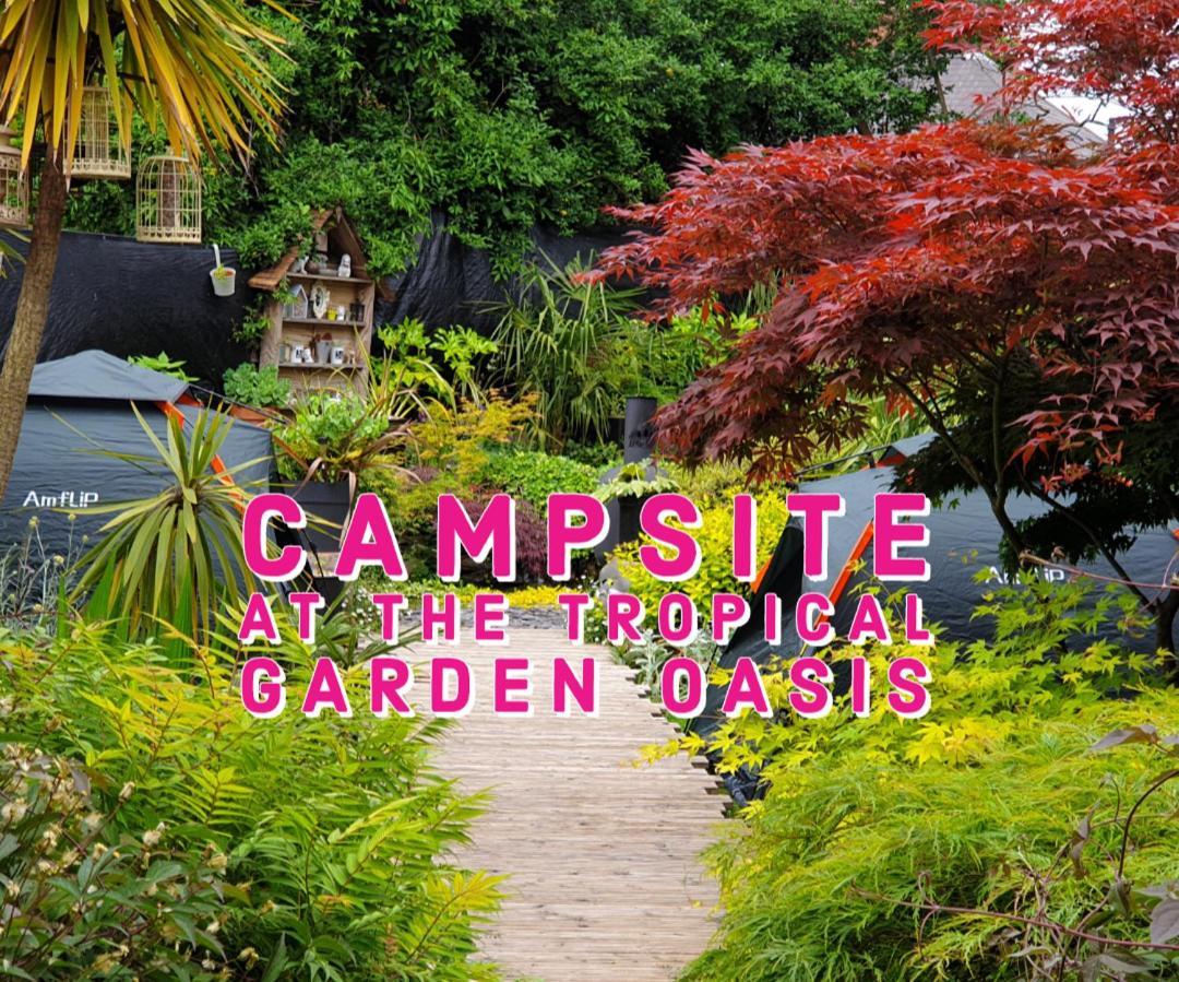 Tropical Garden Oasis Rooms Birmingam Habitación foto
